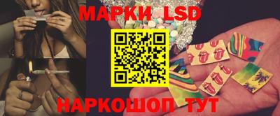 стафф Будённовск