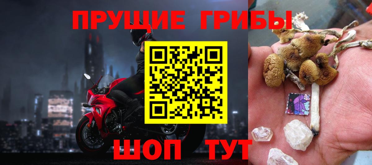 Галлюциногенные грибы Cubensis Тольятти