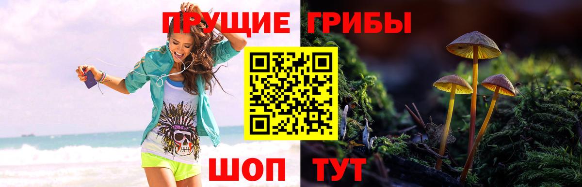 Тольятти  Псилоцибиновые грибы MAGIC MUSHROOMS  Вход с VPN 